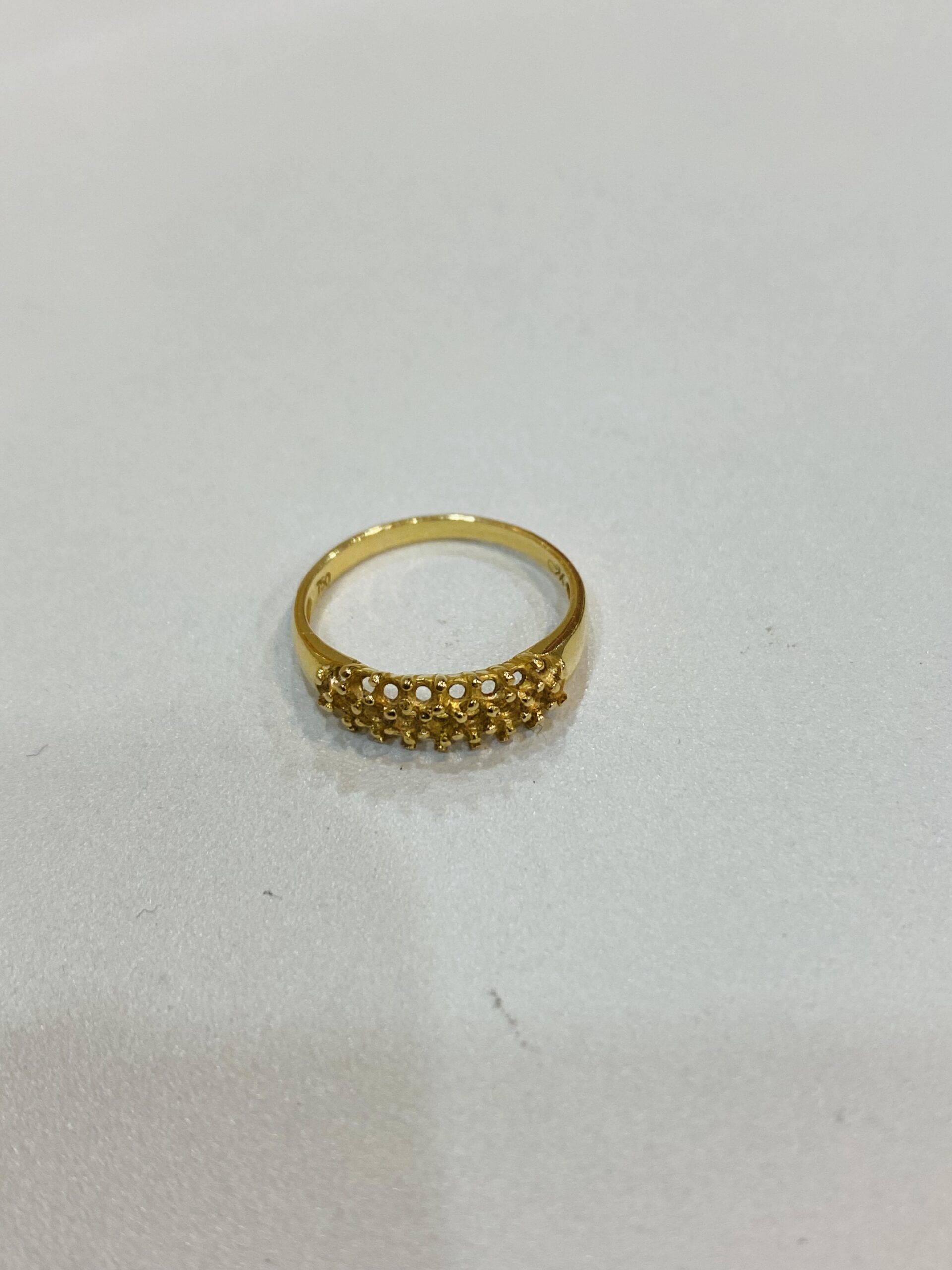 K9 Gold